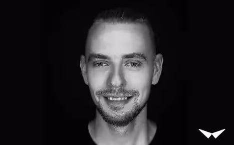 article preview